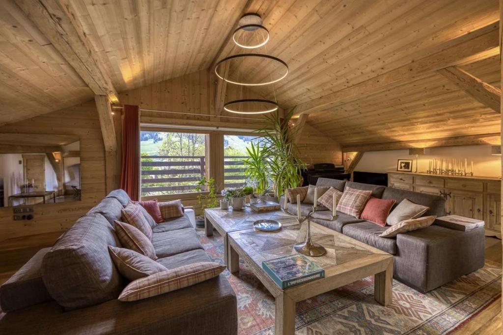Very nice facing chalet with large terrace - 2