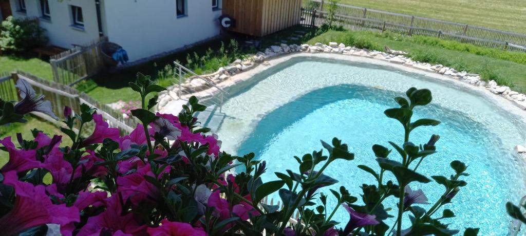 Birnbaum Chalets Grossarl - 5