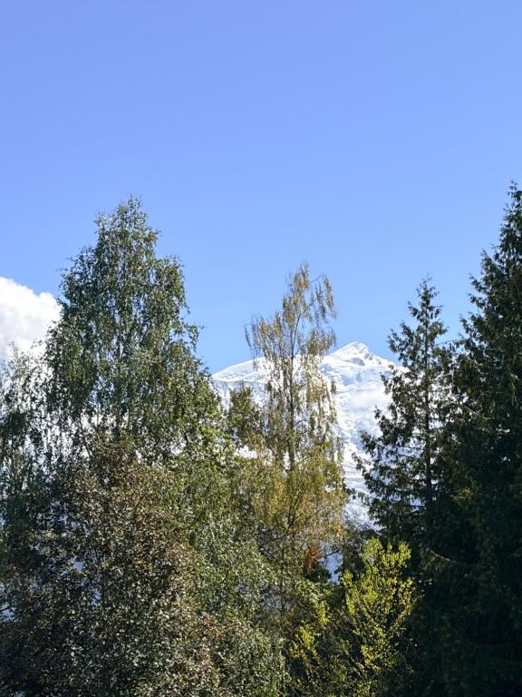 L'Oasis de Combloux - Duplex Premium pour 6 personnes avec vue MontBlanc - Grande terrasse de 20m2 - Parking - Casier à ski - 1