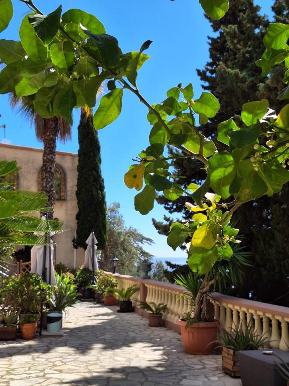 Villa Azur Cap d'Ail - 2