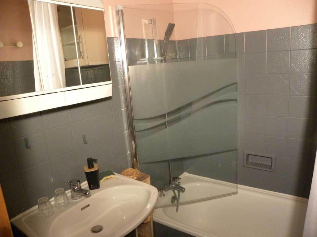 Appartement cosy, animaux OK - 4 pers. - FR-1-263-26 - 4