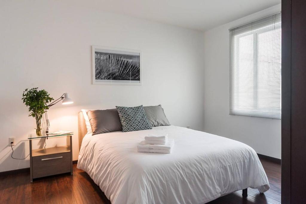 Condesa Residence Campeche 8 Urban Elegance 2BR 1BA Apartment with Large Living Areas - 4