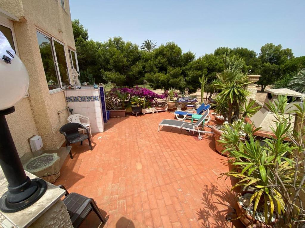 Apartment Pueblecito BR3 La zenia - 1