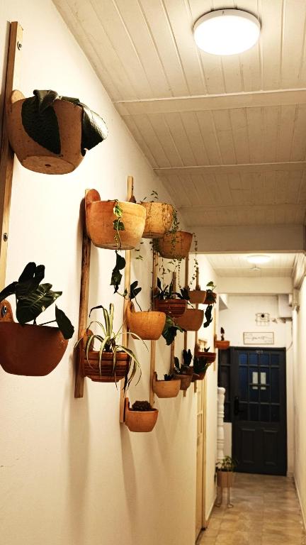 Nuevo Olimpo 201, Apartamento Familiar - 5
