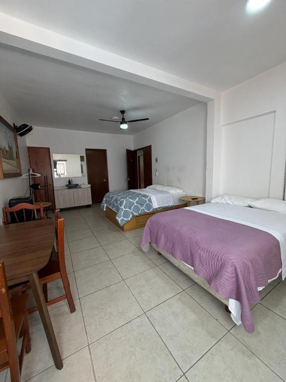 Cozy loft in the heart of Oaxaca - 3