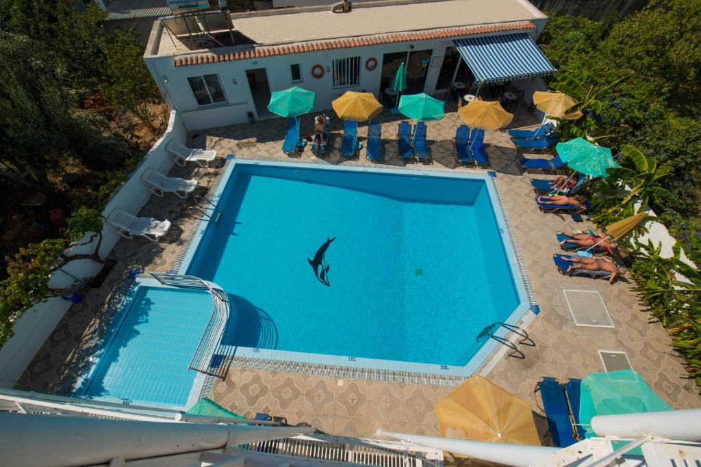 International Hotel photo