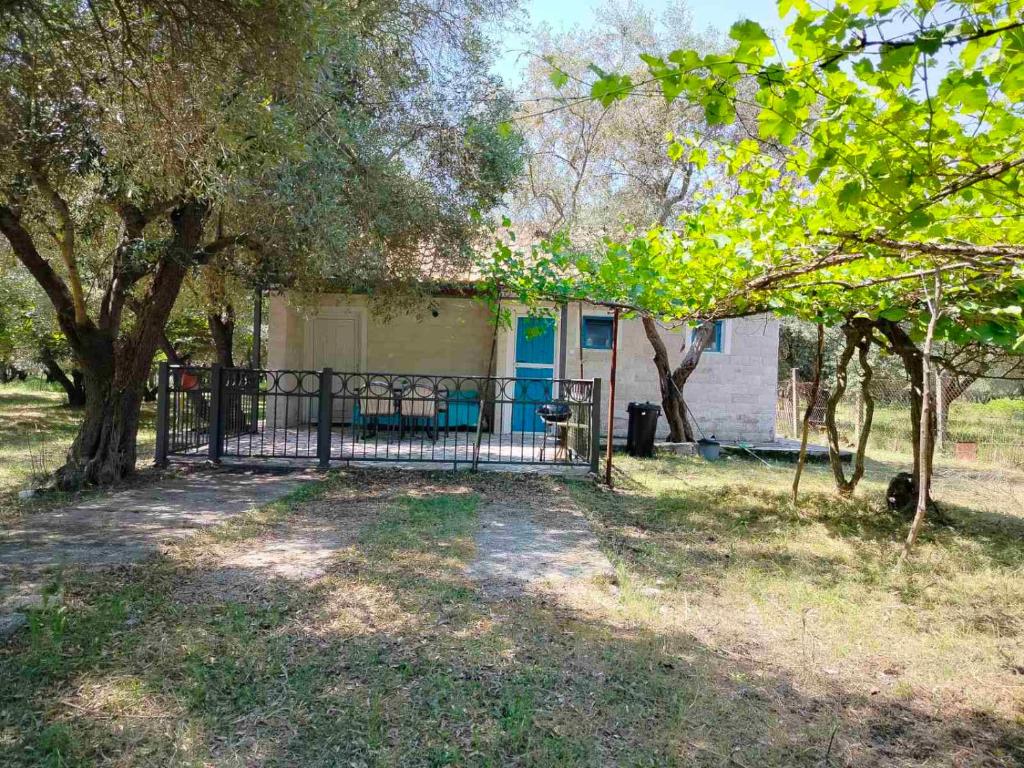 Sabina Olive bungalow - 1