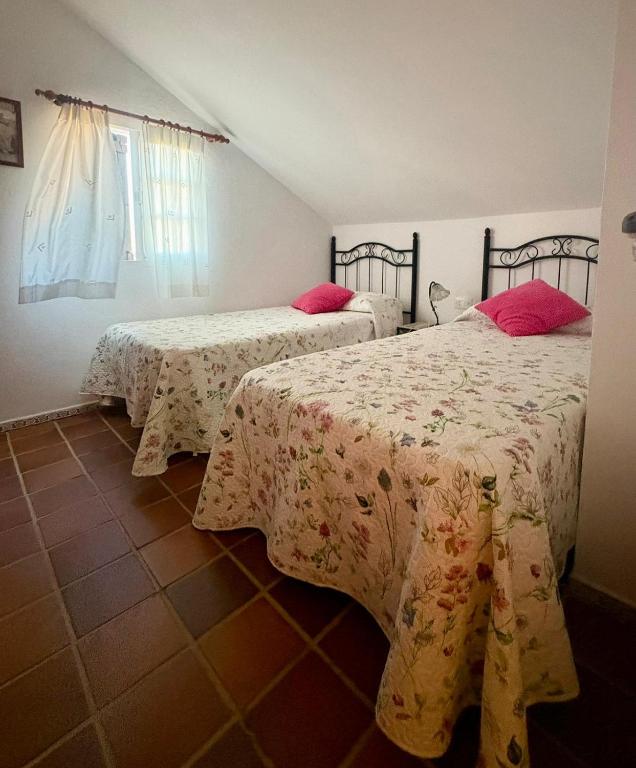 Casa siempreverde - 5