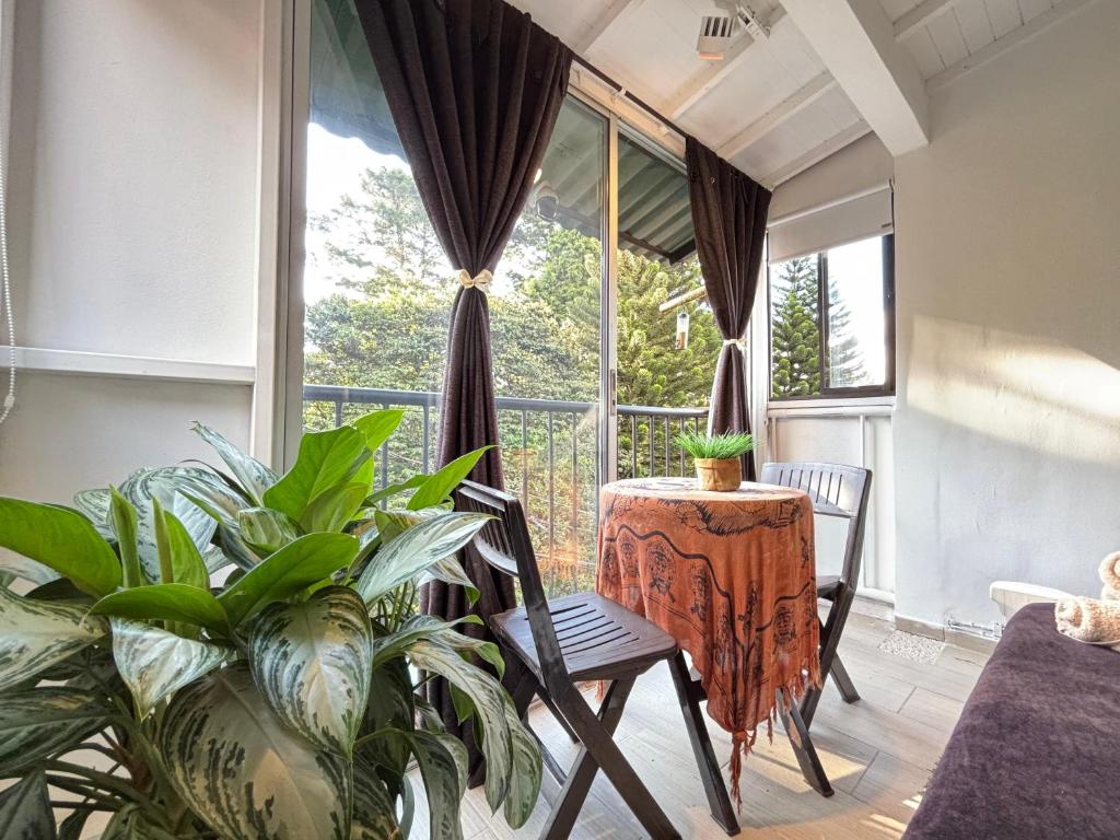 Apartamentos amoblados en Medellín-Bombona II - 3