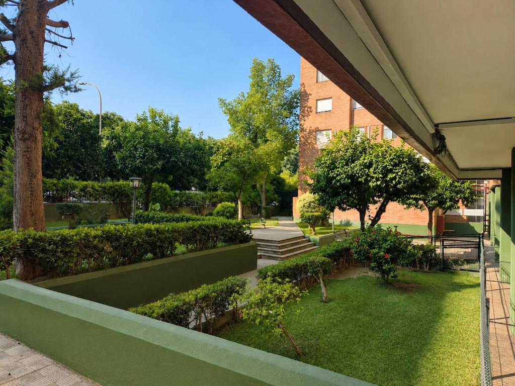 Family apartment pool and garden - 4