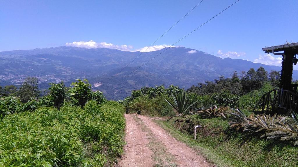 Finca Y Granja Loma Bonita photo