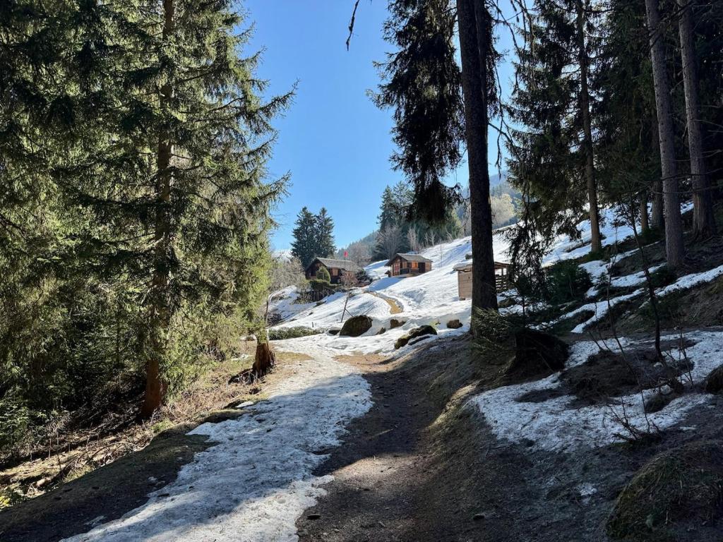 Chalet Aquila - 3