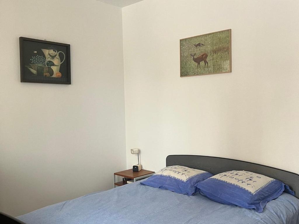 Appartement rénové 3 pièces, proche pistes & commerces - FR-1-636-229 - 2