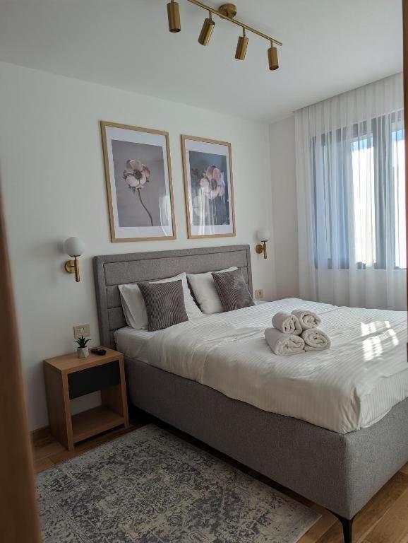 Zlatibor - Apartman 8 - Vila Dunav - Sauna & Free Parking - 3
