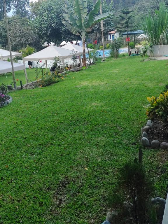 Hospedaje alfombra verde - 2