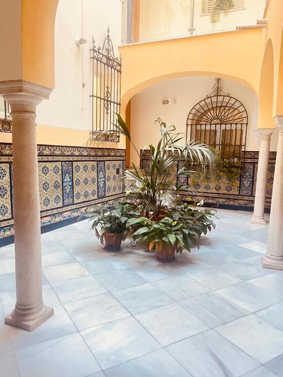 Apartamento Patio del Museo - 5