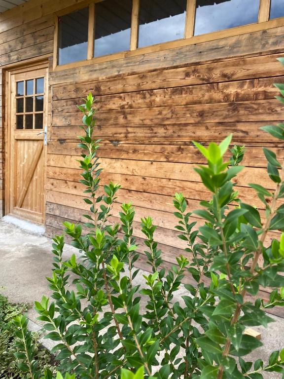 Chalet Olivarelle - 1