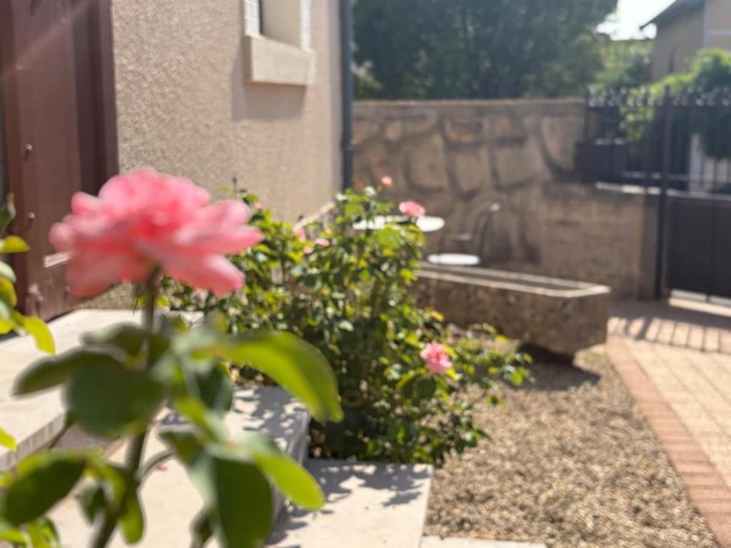 Le Clos de Hoin - Maison Montchapet, private parking - 5