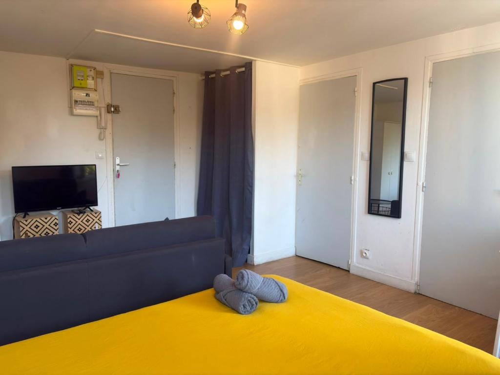Le studio Aigle - proche quais rive droite - 249 - 2