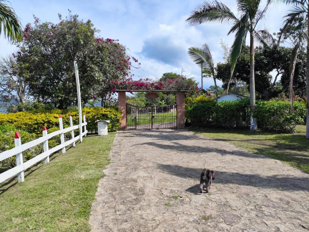 finca buganvilia - 3