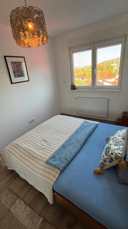 Apartman u srcu Banja Koviljaca 2 - 2