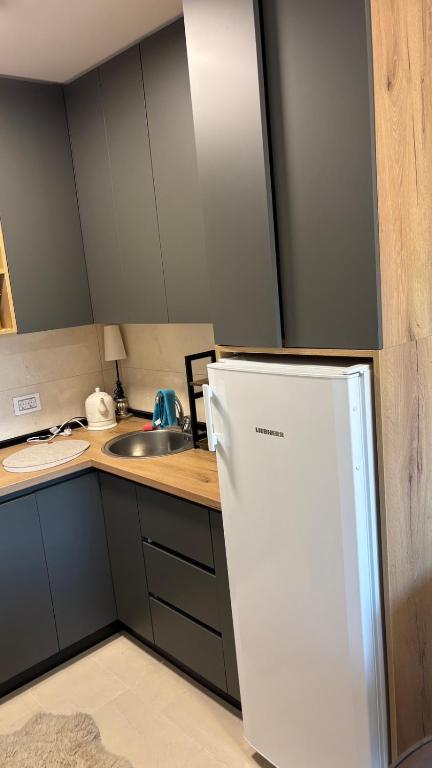 Apartman u srcu Banja Koviljaca 2 - 3