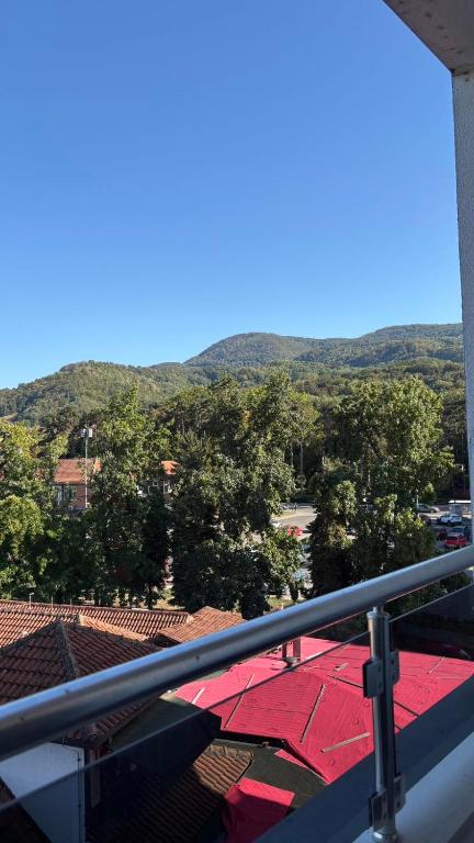 Apartman u srcu Banja Koviljaca 2 - 4