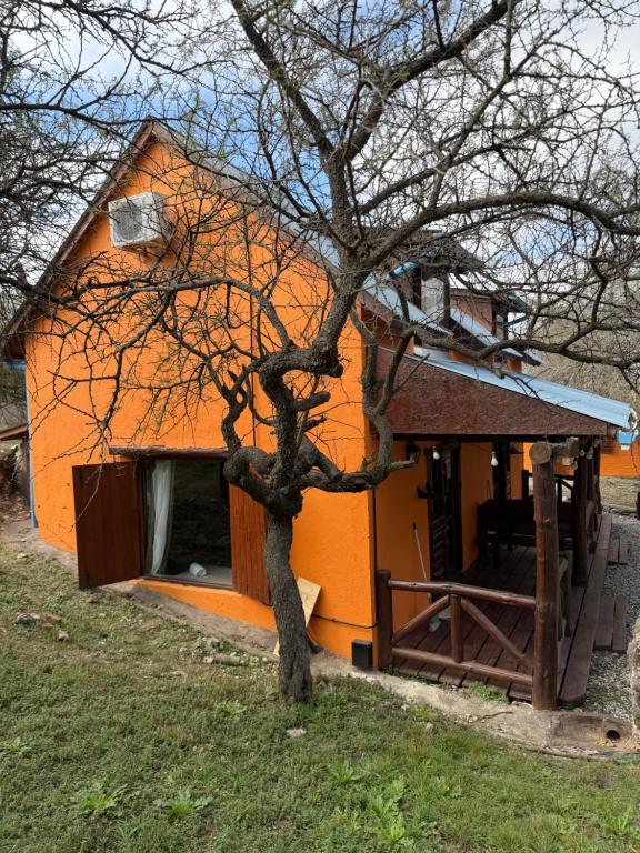 Refugio 17 - Cabañas & Suites de montaña en Falda del Carmen - 4