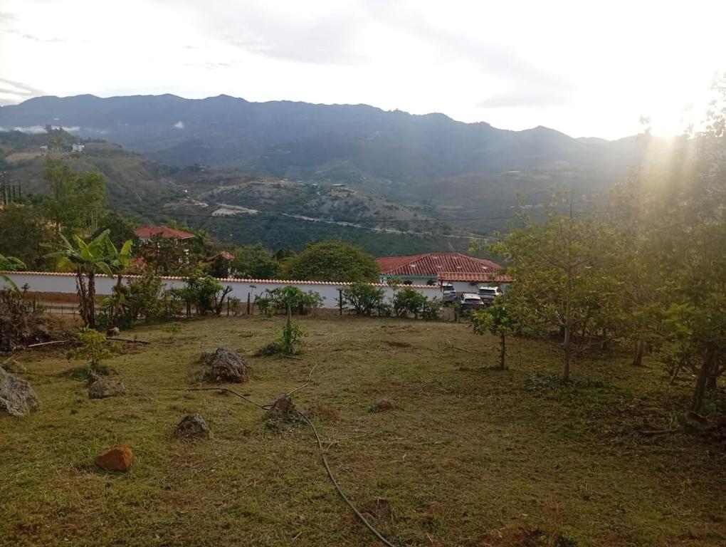 Bella Italia - 3