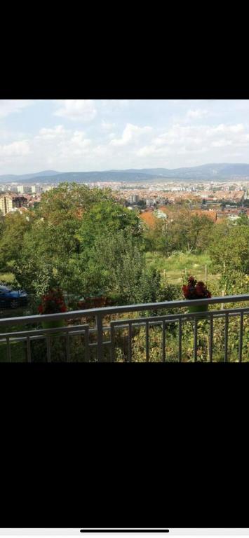 City view - 1