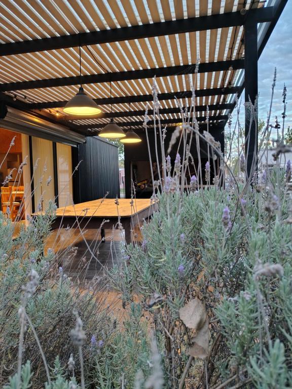 Casita Carbon - 5