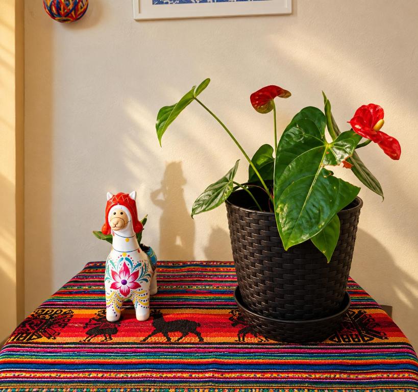 Passion Hostel - Barranco - 3