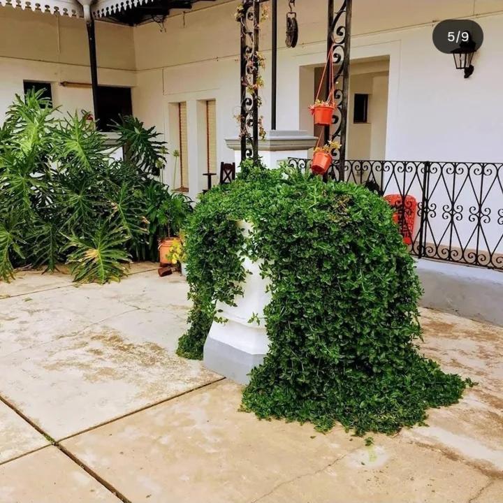 Hotel Jardin - 2