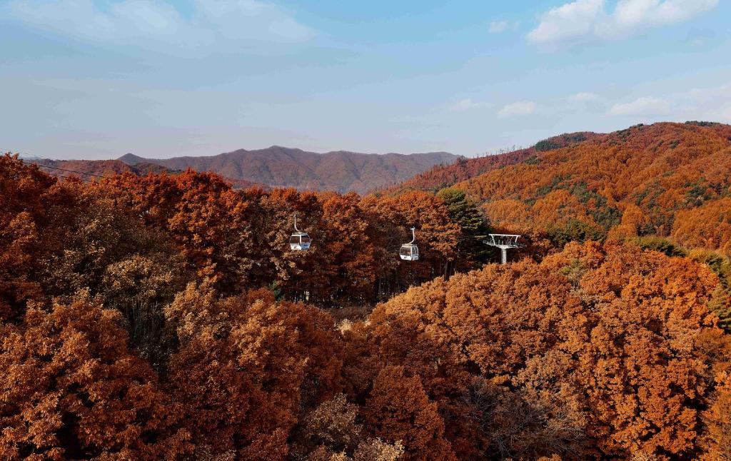 전망