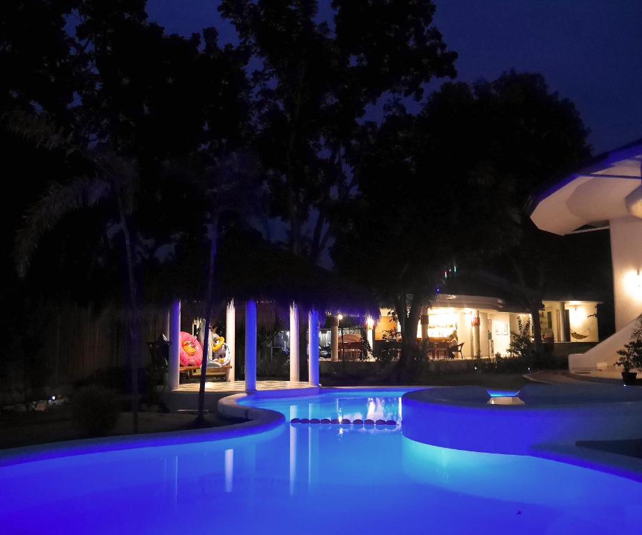 Swimming pool, Bohol Dreamcatcher Resort in Bohol