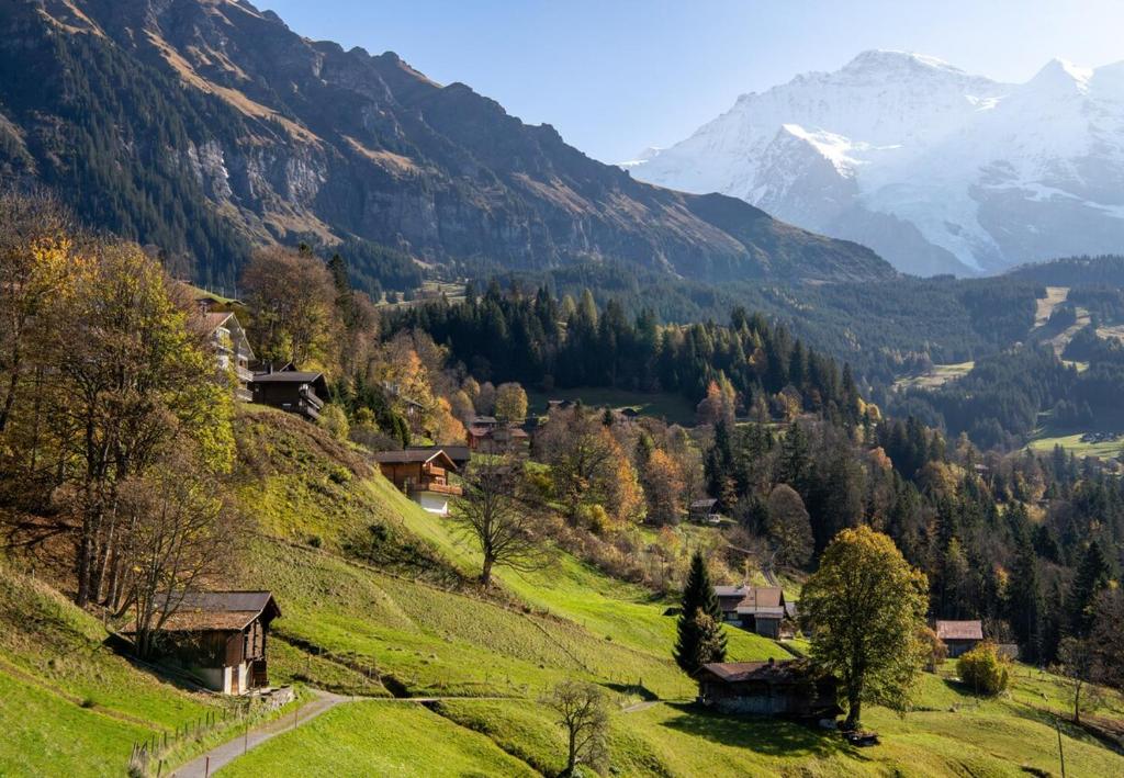 Chalet Silence - 5