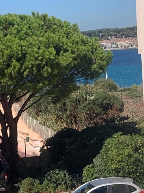 Appartement chez particulier vue mer - 1