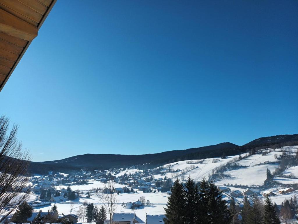 Appartement au cœur des sapins - 5