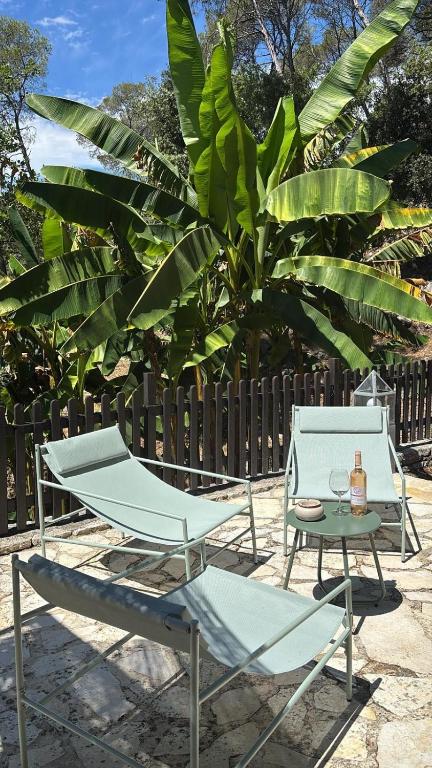 VILLA ESTEY - Pool - Nature View - 4