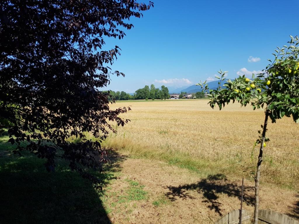 Près du lac, pas loin des montagnes - 5