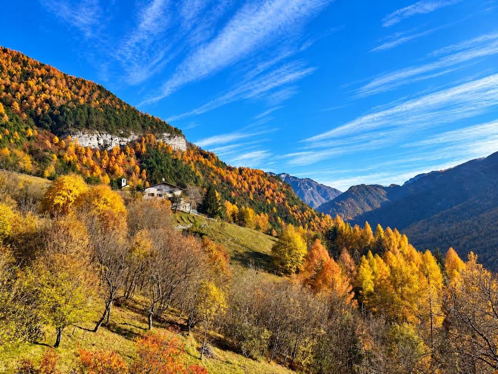 Casa di Montagna Panoramica Relax Trekking e Sci - 2