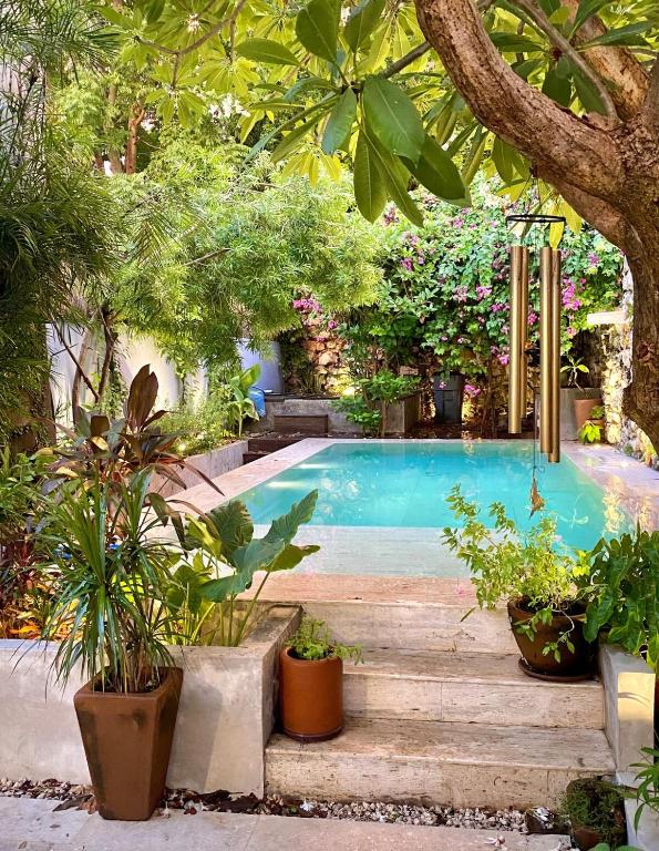 Casa Sacnité Tropical Oasis in Santa Ana - 1