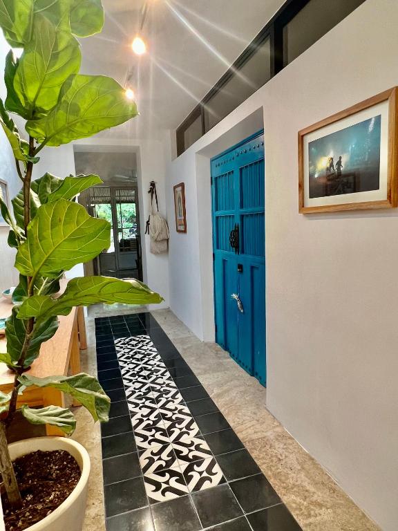 Casa Sacnité Tropical Oasis in Santa Ana - 5
