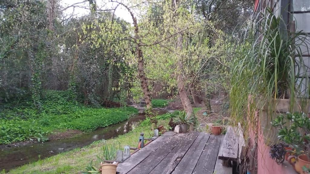 La casa del arroyo - 3