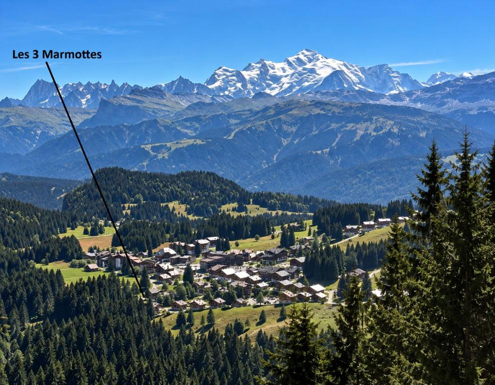 Les 3 Marmottes - Praz de Lys - 4