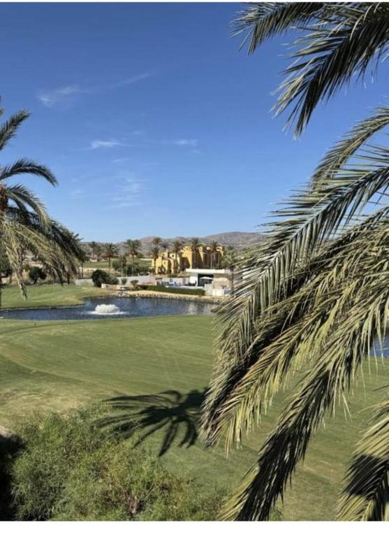 Taray golf - 5