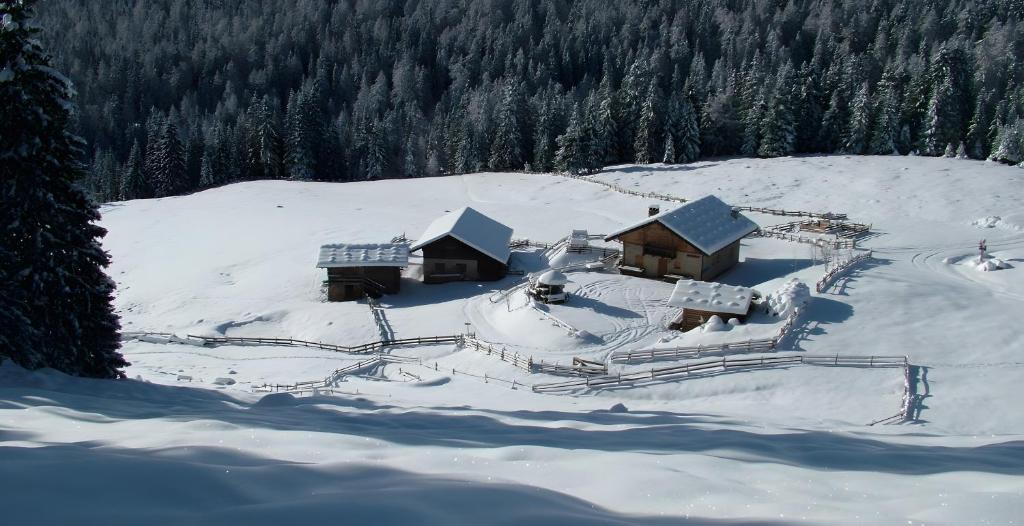 Unterstrommerhof - Saltenblick - 2