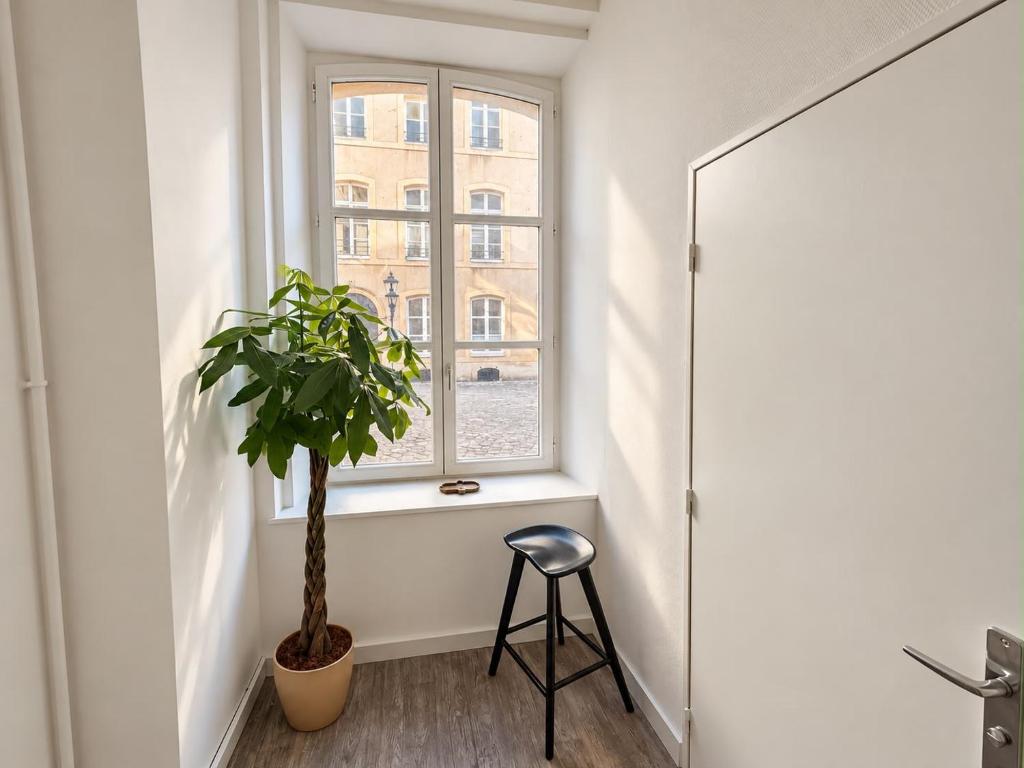 Appartement au Centre-historique - 3