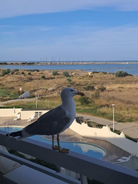 studio bord de mer - 1