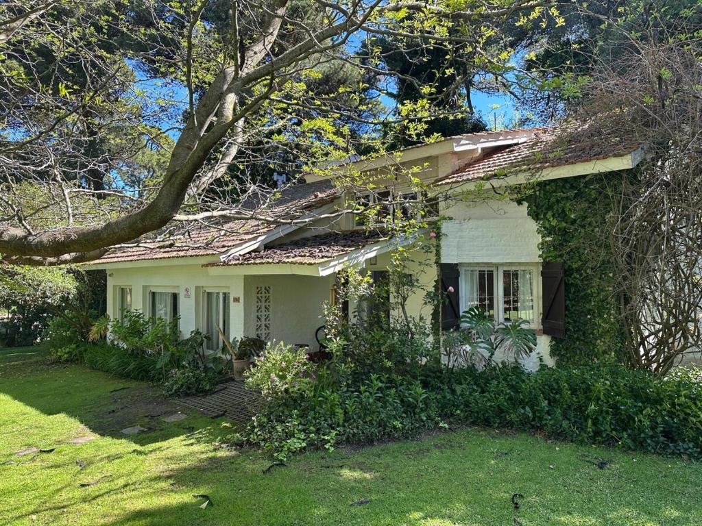 Cálida casa con naturaleza en bosque pinamarense - 2